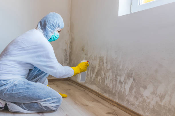 Licensed Mold Testing service in Middletown, MD - WQB Mold Removal