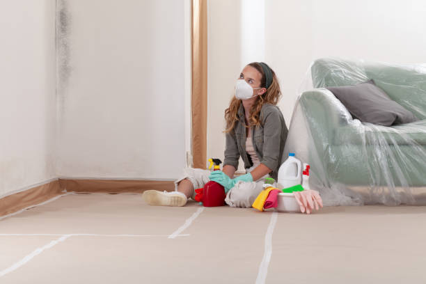 Reliable Mold Testing contractor in Middletown, MD by WQB Mold Removal